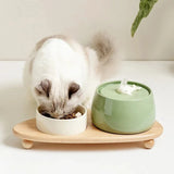 Ceramic Pet Water Fountain