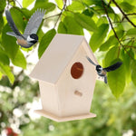 Outdoor Bird Nest