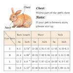 Rabbit Safety Harness