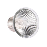 Lampe UVB Tortue
