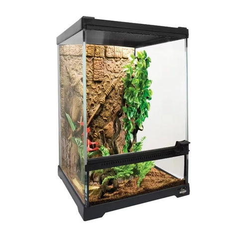 Terrarium Verre Reptiles