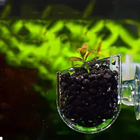 Hanging Aquarium Feeder