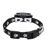 Cat Anti-Escape Collar