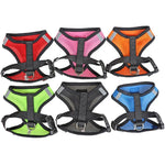Cat Harness with Leash