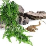 Hanging Fern for Reptiles