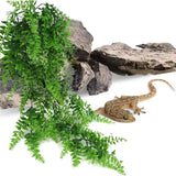 Hanging Fern for Reptiles