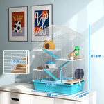 Spacious Equipped Hamster Cage