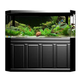 Decorative Aquarium Background