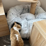 Soft Cat Cushion
