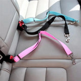 Ceinture de Sécurité Chien