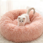 Orthopedic Cat Bed