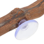Exotic Wood Décor for Reptiles