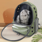 Transparent Cat Backpack