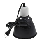 Halogen Lamp for Reptiles