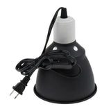 Halogen Lamp for Reptiles