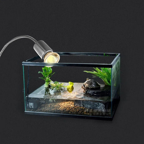 UVB Lamp for Turtles