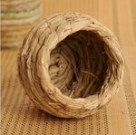 Cocoon Bird Nest