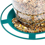 Outdoor Bird Feeder