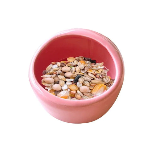 Ceramic Bowl for Rabbits