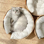Wicker Cat Basket