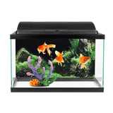 Decorative Aquarium Background
