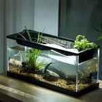 Freshwater Aquarium