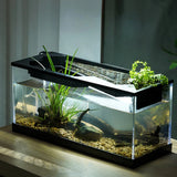 Freshwater Aquarium