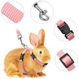 Rabbit Harness and Leash