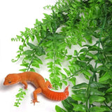 Hanging Fern for Reptiles
