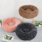 Orthopedic Cat Bed
