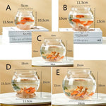 Small Volume Aquarium