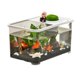 Modern Design Aquarium