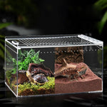 Terrarium Substrate Tray