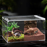 Terrarium Substrate Tray
