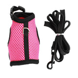 Rabbit Safety Harness