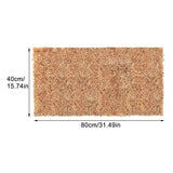 Absorbent Flooring for Terrariums