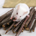 Hamster Chew Toy