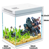 Beginner Aquarium Kit