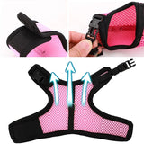 Rabbit Safety Harness