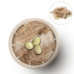 Bird Nesting Materials