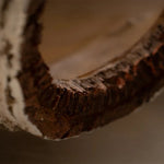 Humidity Cave for Reptiles