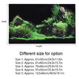 Decorative Aquarium Background