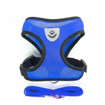 Cat Harness with Leash