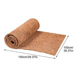 Absorbent Flooring for Terrariums