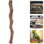Exotic Wood Décor for Reptiles