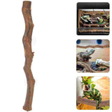 Exotic Wood Décor for Reptiles