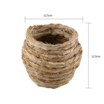 Cocoon Bird Nest