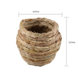 Cocoon Bird Nest