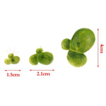 Floating Aquarium Plants