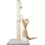 Designer Cat Scratcher
